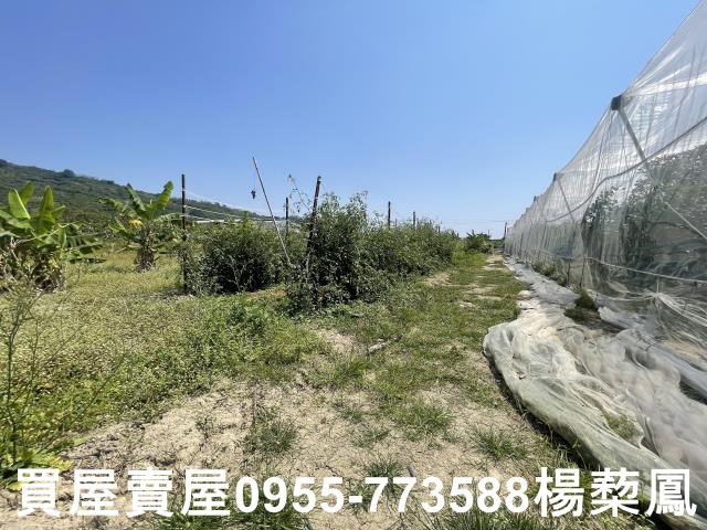 岡山農地-8