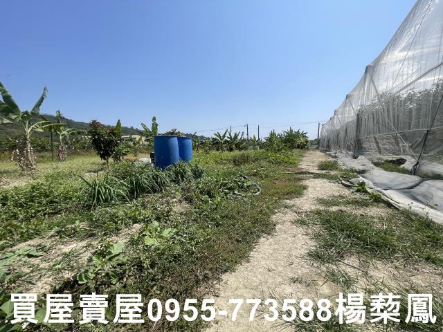 岡山農地-12