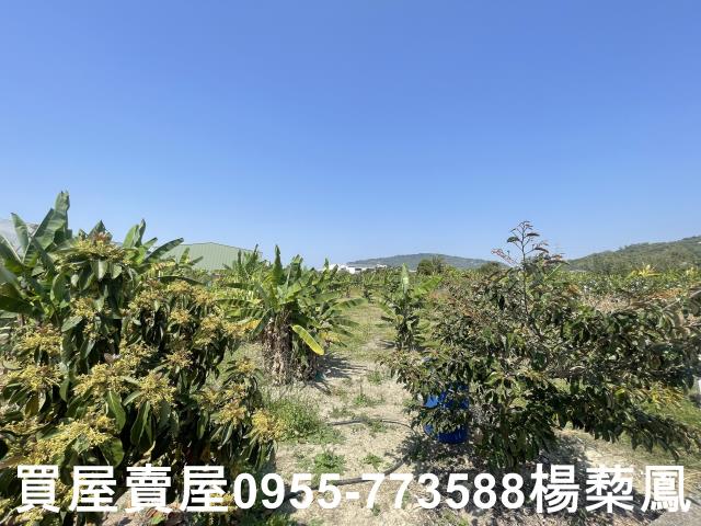 岡山農地-14