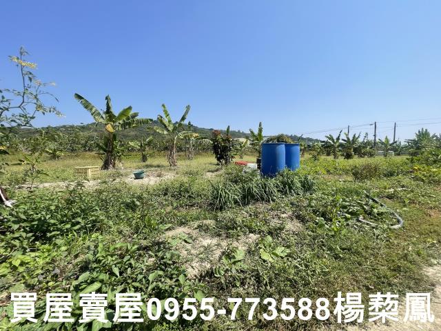 岡山農地-0