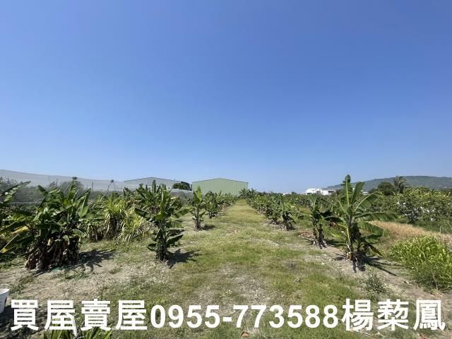 岡山農地-2