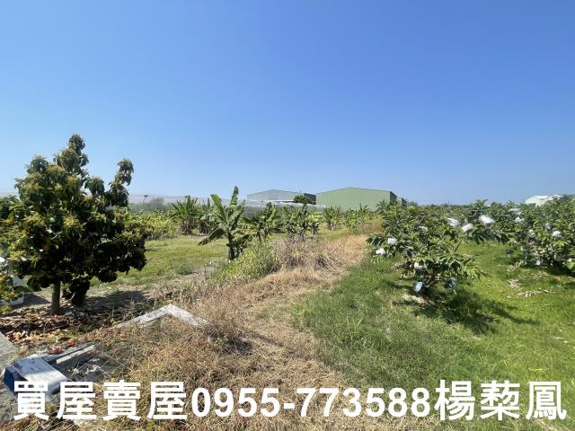 岡山農地-4