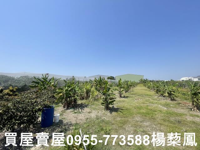岡山農地-5