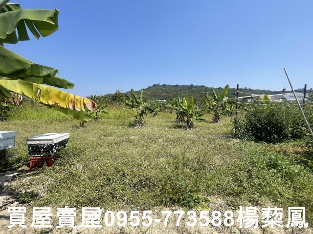 岡山農地-8