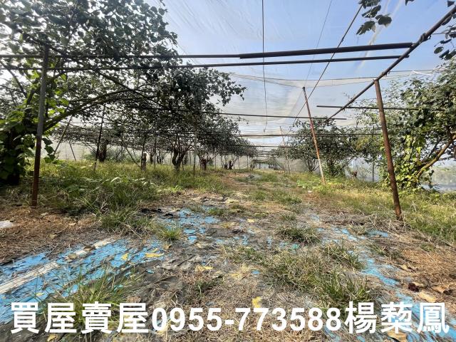 高雄燕巢農地-12