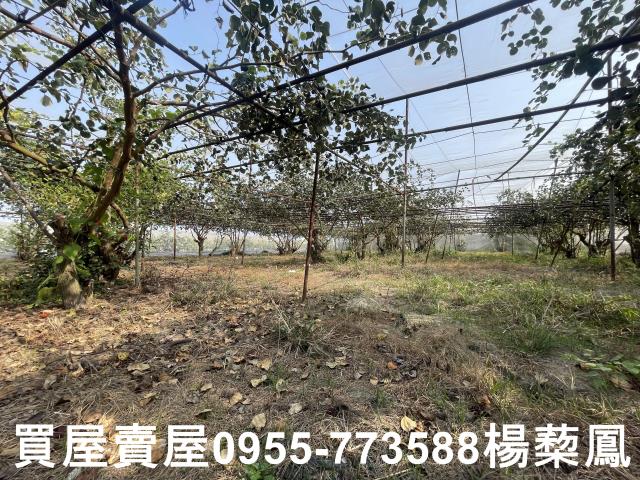 高雄燕巢農地-8